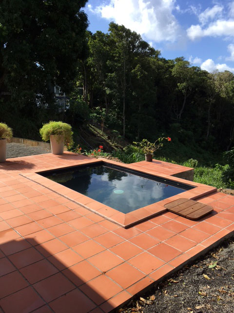 Location de gite avec piscine en forêt en Guadeloupe